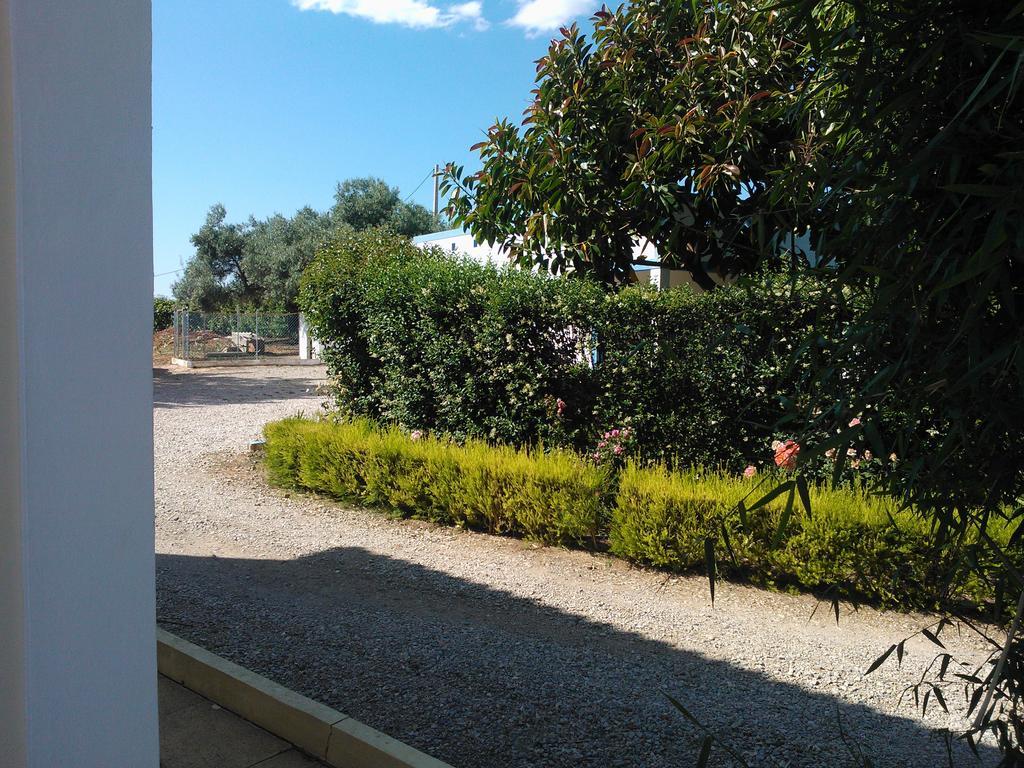 Quinta Da Moura Casa-De-Campo Guest House Tavira Luaran gambar